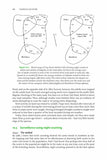 Tadpole Hunter - Pelagic Publishing