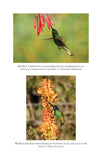 Birds and Flowers - Pelagic Publishing