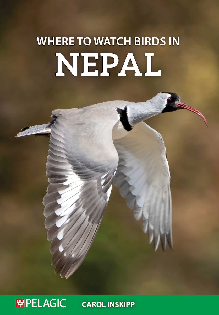 Where to Watch Birds in Nepal - Pelagic Publishing