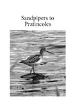 The Vanishing Mew Gull - Pelagic Publishing