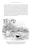Purposeful Birdwatching - Pelagic Publishing