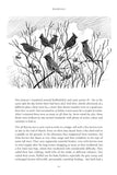 Purposeful Birdwatching - Pelagic Publishing