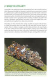 Bird Pellets - Pelagic Publishing