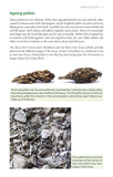 Bird Pellets - Pelagic Publishing