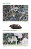 Bird Pellets - Pelagic Publishing