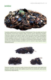 Bird Pellets - Pelagic Publishing