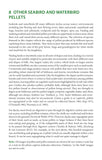 Bird Pellets - Pelagic Publishing