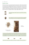 Bird Pellets - Pelagic Publishing