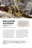 A Field Guide to Urban Plants - Pelagic Publishing