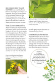 A Field Guide to Urban Plants - Pelagic Publishing