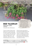 A Field Guide to Urban Plants - Pelagic Publishing