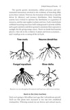 Treewilding - Pelagic Publishing