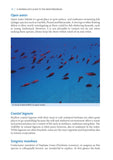 A Snorkeller’s Guide to the Mediterranean - Pelagic Publishing