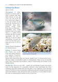 A Snorkeller’s Guide to the Mediterranean - Pelagic Publishing