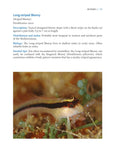 A Snorkeller’s Guide to the Mediterranean - Pelagic Publishing