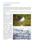 A Snorkeller’s Guide to the Mediterranean - Pelagic Publishing
