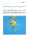 A Snorkeller’s Guide to the Mediterranean - Pelagic Publishing