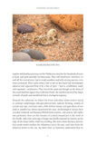 Clinging to the Edge - Pelagic Publishing