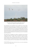 Clinging to the Edge - Pelagic Publishing