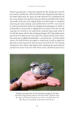 Clinging to the Edge - Pelagic Publishing