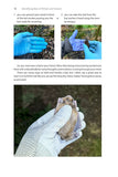 Identifying Bats of Britain and Ireland - Pelagic Publishing