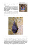 Identifying Bats of Britain and Ireland - Pelagic Publishing