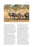 Walking Safaris of Africa - Pelagic Publishing