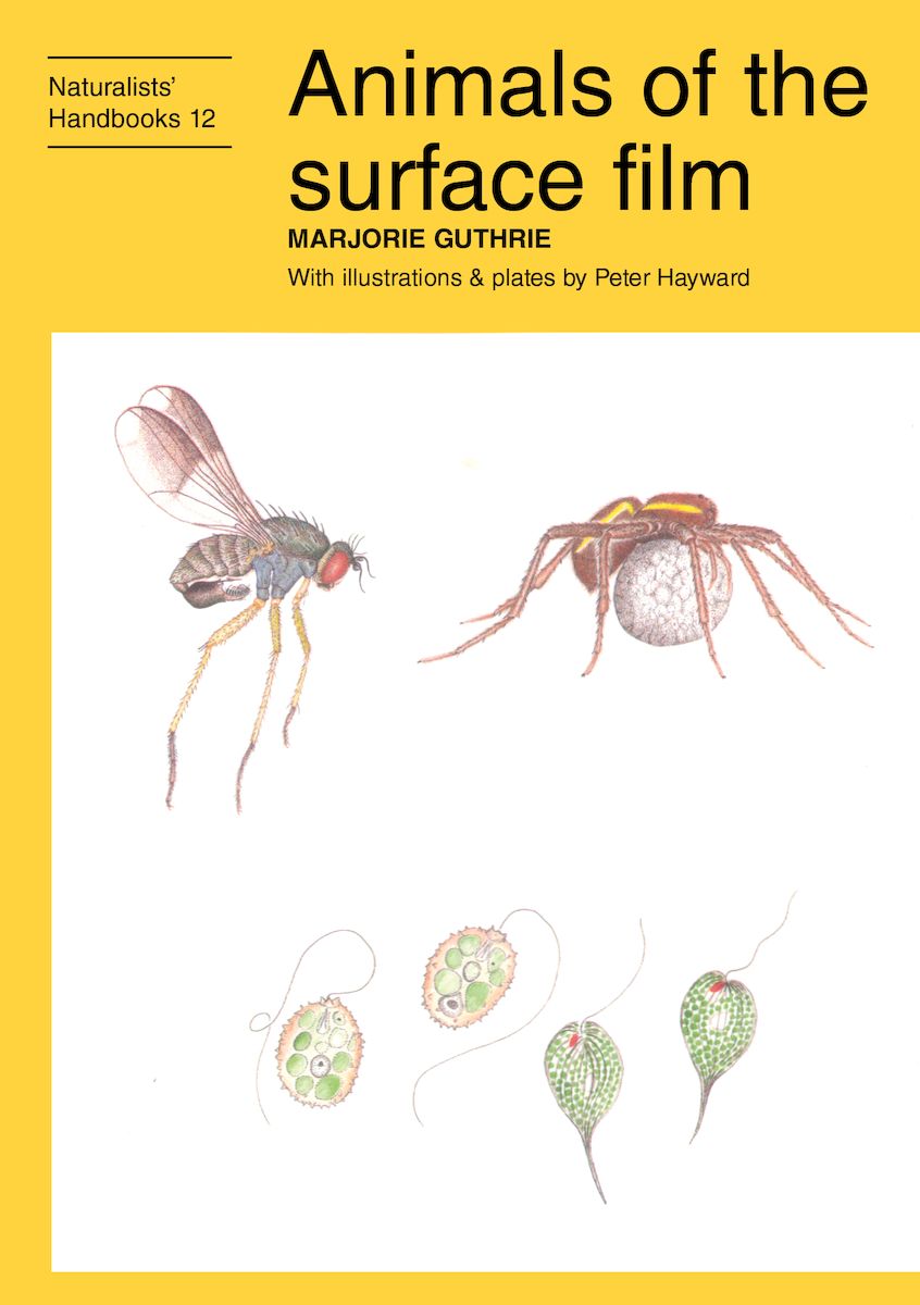 Animals of the surface film - Pelagic Publishing