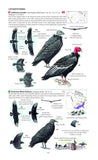 Field Guide to the Birds of North America - Pelagic Publishing