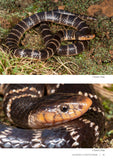 Field Guide to the Snakes of Eswatini - Pelagic Publishing