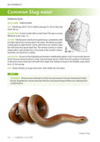 Field Guide to the Snakes of Eswatini - Pelagic Publishing