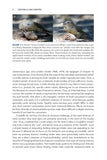 Crossbills and Conifers - Pelagic Publishing