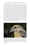 Crossbills and Conifers - Pelagic Publishing
