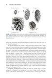 Crossbills and Conifers - Pelagic Publishing