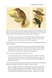 The Game of Species - Pelagic Publishing