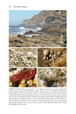The Game of Species - Pelagic Publishing