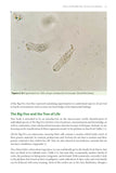 Moss Safari - Pelagic Publishing
