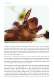 Moss Safari - Pelagic Publishing