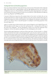 Moss Safari - Pelagic Publishing
