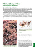 Identification Guide to the Non-Native Invasive Plants of Britain and Ireland - Pelagic Publishing