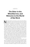 Bats & Ladders - Pelagic Publishing
