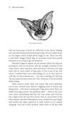 Bats & Ladders - Pelagic Publishing