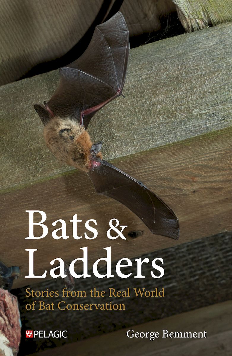 Bats & Ladders - Pelagic Publishing