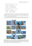 Birding with AI - Pelagic Publishing
