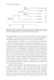 The Ascent of Mammals - Pelagic Publishing