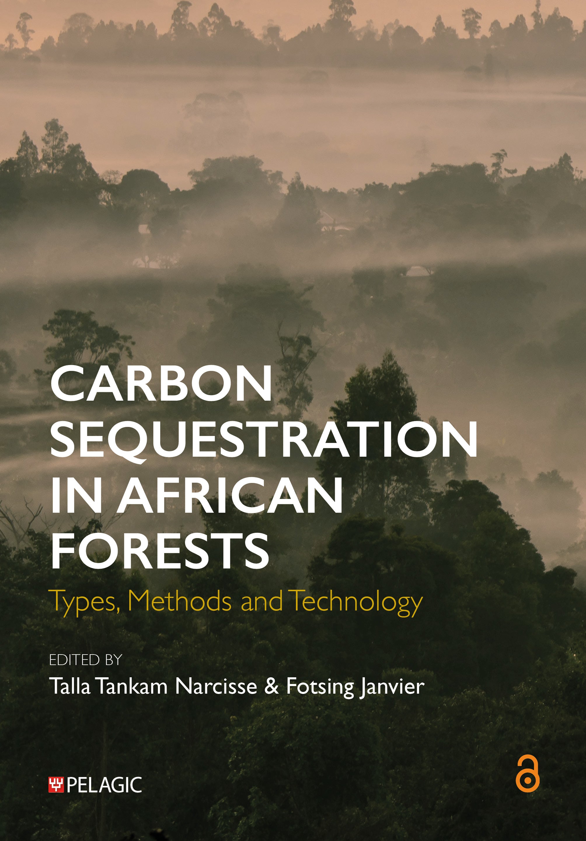 Book cover of 'Carbon Sequestration in African Forests' with a forest landscape in the background.