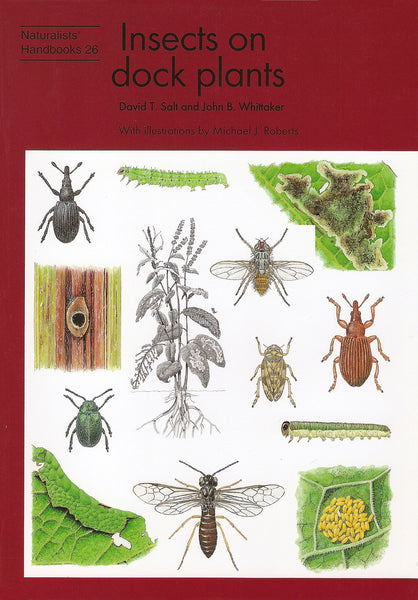 Insects on dock plants - Pelagic Publishing