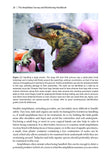 Amphibian Survey and Monitoring Handbook - Pelagic Publishing