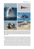 Wildlife and Wind Farms - Conflicts and Solutions, Volume 3 - Pelagic Publishing