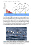 Wildlife and Wind Farms - Conflicts and Solutions, Volume 3 - Pelagic Publishing